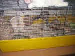 IMG_1599.jpg