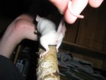 IMG_1697.jpg