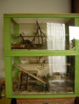 DSCN3261.jpg