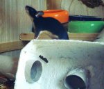 041.jpg