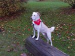 2012010407_file0043.jpg