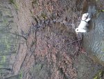 IMG_20120423_102214.jpg