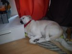 IMG_20120606_201230.jpg