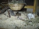 IMG_2758 - Kopie.jpg
