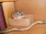 urlaub,tiere 017.jpg