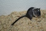 DSC00381.jpg