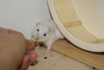 DSC00324.jpg