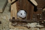DSC00341.jpg