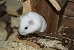 DSC00345.jpg