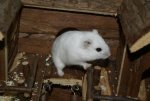DSC00356.jpg