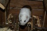DSC00357.jpg