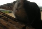 DSCN9817.jpg