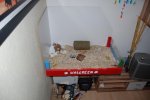 DSC_9830.jpg