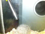 DSC01761.jpg