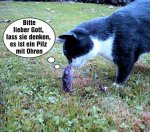 Katz und Maus.jpg