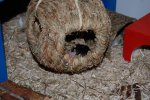 DSC_0070.jpg