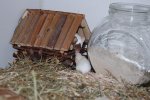 DSC_0073.jpg