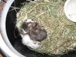 IMG_3202 - Kopie.jpg