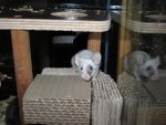 IMG_3241 - Kopie.jpg