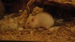DSC01005.jpg