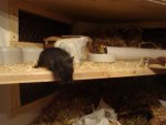 DSC03276.jpg
