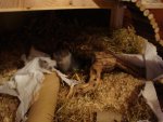 DSC03280.jpg