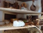 DSC03299.jpg