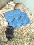 August 2012 005.jpg