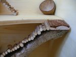 Mausstall_Treppe01.jpg