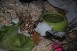 DSC_0560.jpg