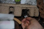 DSC_0606.jpg