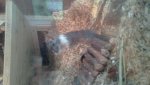 20120902_001.jpg