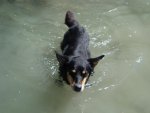 DSC03315.jpg