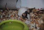 DSC_0276.jpg