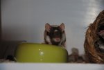 DSC_0284.jpg