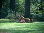 September 2012 027.jpg
