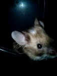 Spot und spick 022.jpg