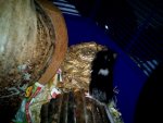 Spot und spick 010.jpg