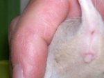 20121001_203908.jpg