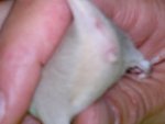 20121001_203940.jpg