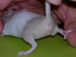 20121001_203959.jpg
