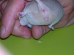 20121001_204024.jpg