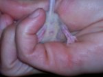 20121001_204259.jpg