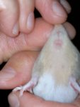 20121001_204647.jpg
