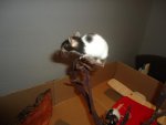 DSC02720.jpg