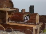 Mausis und Halloween 021.jpg
