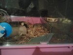 2012-11-25 20.04.39.jpg