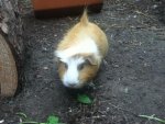 ipod bilder 24.09.12 165.jpg