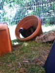 ipod bilder 24.09.12 089.jpg