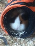 ipod bilder 028.jpg